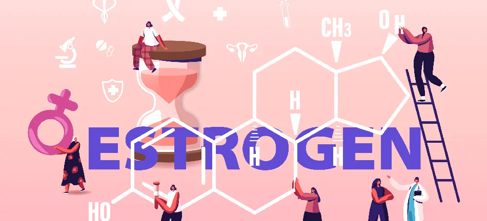Östrojen Nedir? Kadınlık Hormonunun Cinsellik ve Genel Sağlık Üzerindeki Etkileri